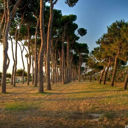 Residenza Il Corallo - Corallo Rosso - Lägenhet *