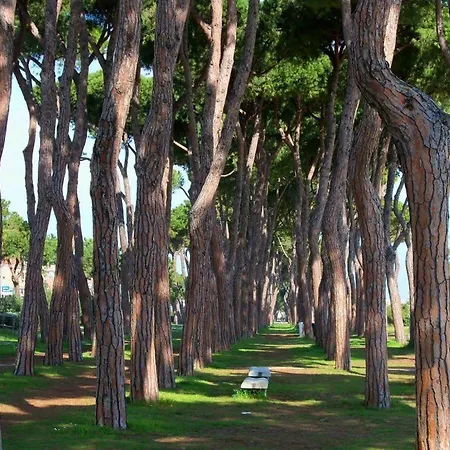 Residenza Il Corallo - Corallo Rosso - *