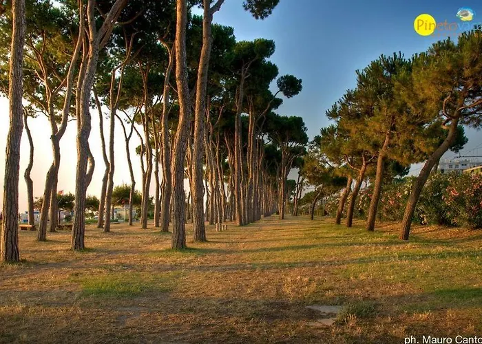 Residenza Il Corallo - Corallo Rosso - Апартаменты *