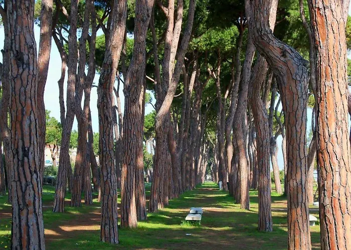 Residenza Il Corallo - Corallo Rosso - *